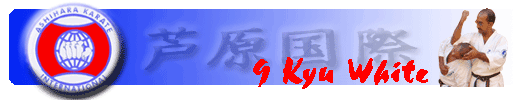 9 Kyu White