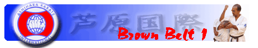 Brown Belt 1